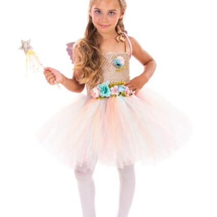 Αποκριάτικη Στολή Ginger Fairy Size 4 years