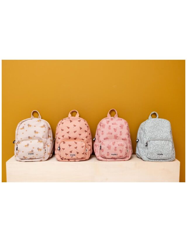 BACKPACK PRINT - DARING DINO - Image 5