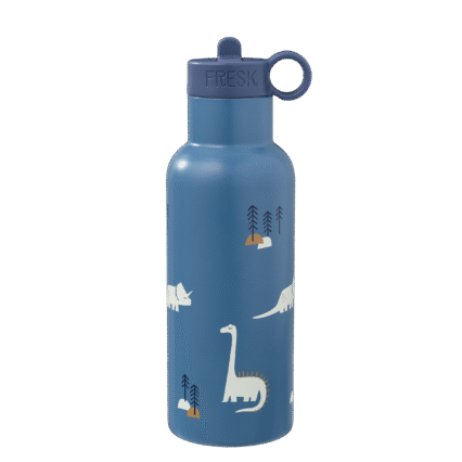 Θερμός από ανοξείδωτο ατσάλι 500ml - Dino