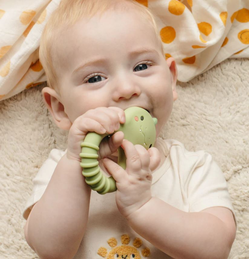 Παιχνίδι Οδοντοφυΐας – Silicone Teether Dino - Image 3