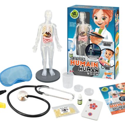 ΑΝΘΡΩΠΙΝΟ ΣΩΜΑ 12 ΠΕΙΡΑΜΑΤΑ